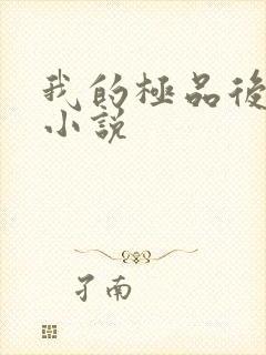 我的极品后宫 小说