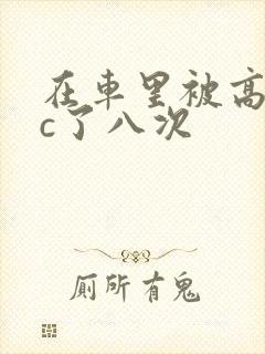 在车里被高潮被c了八次