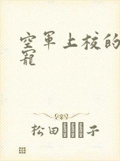 空军上校的邪魅宠