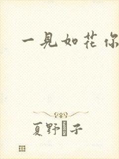 一见如花你就笑