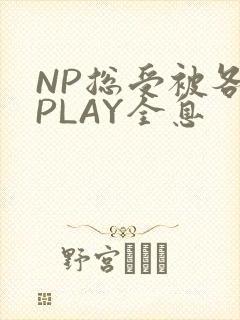 NP总受被各种PLAY全息