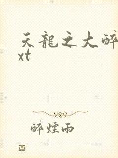 天龙之大醉侠txt