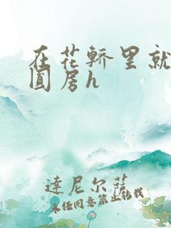 在花轿里就开始圆房h