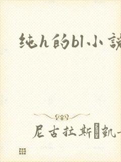 纯h的bl小说