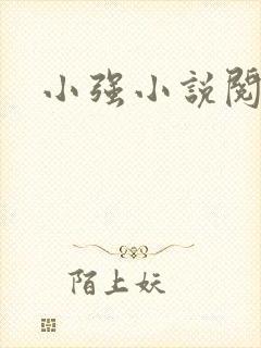 小强小说阅读网
