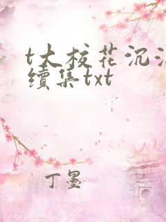 t大校花沉浮录续集txt