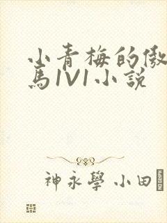 小青梅的傲娇竹马1V1小说