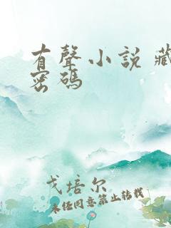 有声小说 藏地密码