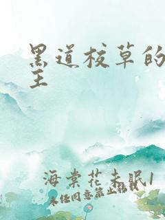 黑道校草的冷公主