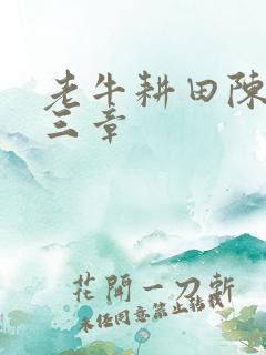 老牛耕田陈雪第三章