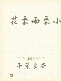 花季雨季小说