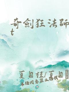 奇剑狂法师txt
