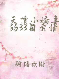 天价小娇妻总裁的33日索情
