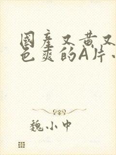 国产又黄又大又色爽的A片小说