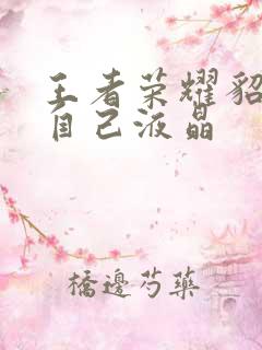 王者荣耀貂蝉喝自己液晶