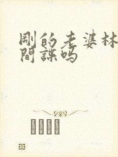 刚的老婆林彦是间谍吗