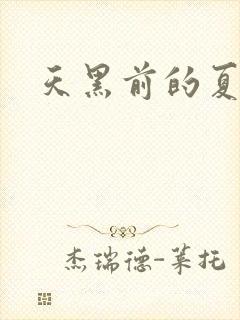 天黑前的夏天
