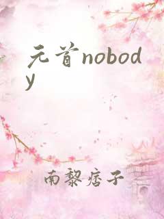 元首nobody