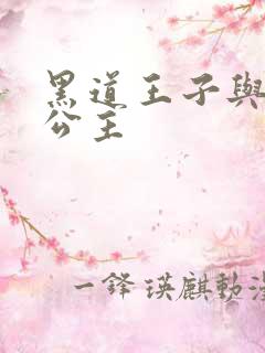 黑道王子与冰山公主