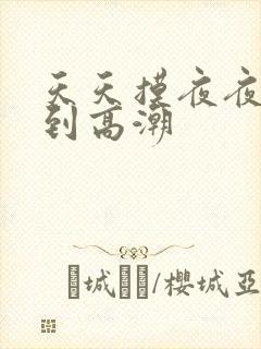 天天摸夜夜摸摸到高潮