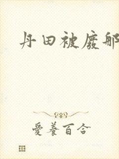 丹田被废那些年