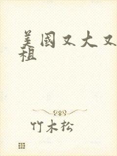 美国又大又长又租