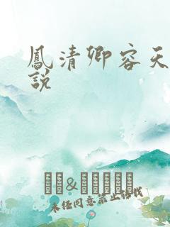 凤清卿容天凌小说