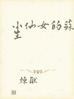 小仙女的苏撩先生