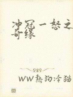 冲冠一怒之合租奇缘