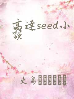 高达seed小说