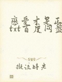 恋爱才是正经事txt百度网盘