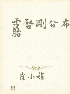 霍启刚公布龙凤胎