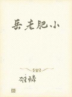 岳老肥小