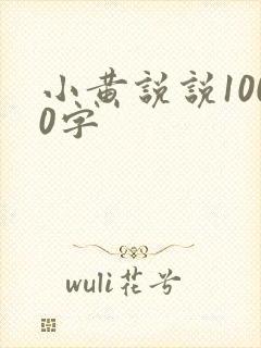 小黄说说1000字