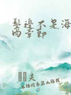 鬓边不是海棠红肉章节