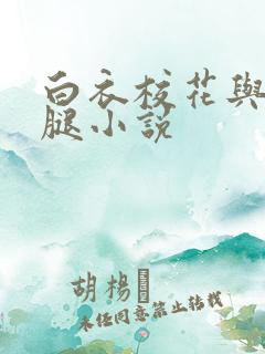 白衣校花与大长腿小说