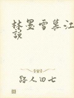 林墨雪慕江行小说
