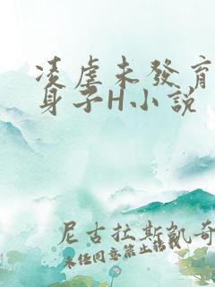 凌虐未发育的小身子H小说