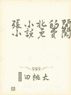 张小北的开光师小说免费阅读怎么没有276章