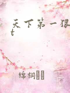 天下第一狠txt