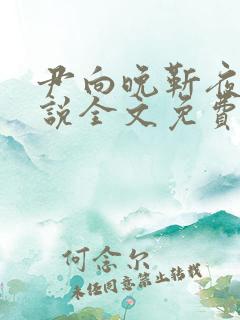 尹向晚靳夜擎小说全文免费阅读无弹窗