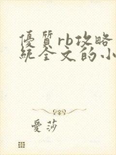 优质rb攻略系统全文的小说