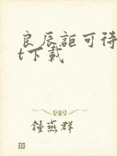 良辰讵可待txt下载