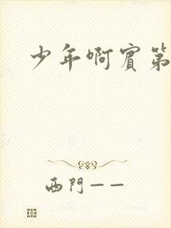 少年啊宾第二部