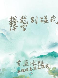 总裁别碰我 韩降雪