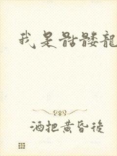 我是骷髅龙骑兵