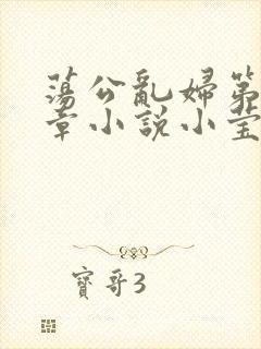 荡公乱妇第51章小说小莹