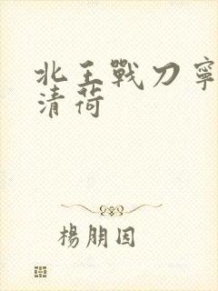 北王战刀宁北苏清荷