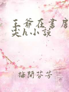 王爷在书房含乳尖h小说