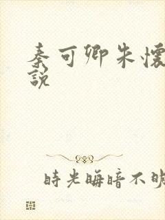 秦可卿朱怀镜小说